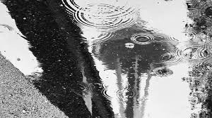Windy, rainy fall weather arrives Friday before weekend sunshine returns — KOMO