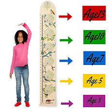 Kids Wall Wooden Growth Height Chart Hanging Ruler For
