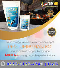Penjernih Kolam Ikan Koi Claykoi Gorontalo Utara Obat Penjernih Kolam Koi Claykoi Gowa Obat Penjernih Air Kolam Koi Claykoi Gresik Obat P Di 2020 Kolam Ikan Ikan Kolam