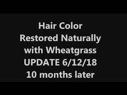 You can try wheatgrass for reversing the problem of grey hair. Hair Color Restored Naturally With Wheatgrass Update Youtube