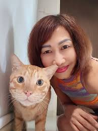 Fundraising for community cat Bebe's final vet bill