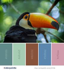 Bird With Long Colorful Beak Color Palette Ideas From 2162 Beak Images Icolorpalette Color Palette Vintage Birds Palette