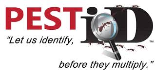 All seasons pest control is truly a family business in tacoma, wa. Residential Pest Control Termite Control Plumsted Township