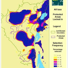 Image result for Blotiella bouxiniana