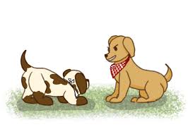 Team ruff, the underdogs after consecutive victories from opponents team fluff, won the meanwhile, chow chow mix chunky monkey was penalized for excessive slumber after his snooze on the sidelines. Ngra6gu98yyxhm
