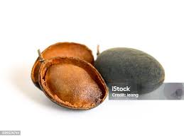 Image result for Dialium