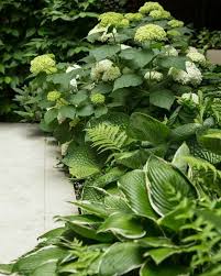 Pin By Bob Mcchurch On The White Garden De Witte Tuin Shade Garden Plants Shade Garden Design Shade Garden