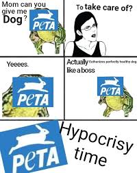 Reddit definitely has the best, wholesome memes in the whole goddamn internet, but since i'm not sure about what type of a meme person you actually are i'll just suggest some of the best and my personal favourite memes subreddits 1. 28 Funniest Peta Memes On The Internet Best Peta Roast Sfwfun
