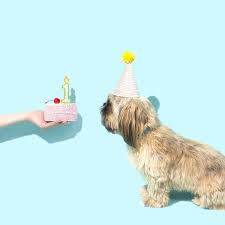 Pin Su Compleanno In Quarantena