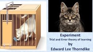 Thorndike puzzle box experiment video. Best Of Trial And Error Experiment In Psychology Free Watch Download Todaypk