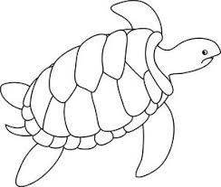 Turtle Clipart Image Black And White Drawing Of A Sea Turtle Turtle Coloring Pages Turtle Outline Turtle Drawing Draw a turtle and hair. black and white drawing of a sea turtle