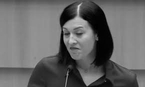 Nemzetközi szinten űzték a közpénzlenyúlást Cseh Katalin családjának cégei 