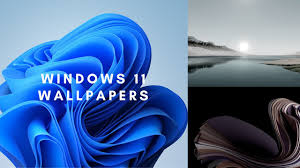 We hope you enjoy our growing collection of hd images to use as a background or home screen for please contact us if you want to publish a 4k ultra hd windows wallpaper on our site. Download Windows 11 Leaked Wallpapers For Free Shorts Youtube