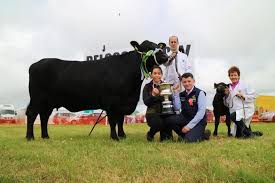 Clontead take the interbreed at Belgooly