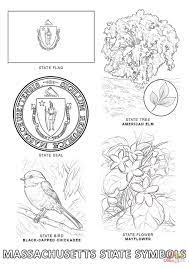Massachusetts' state bird is the chickadee, a small bird that can make a lot of noise. Massachusetts State Symbols Coloring Page Free Printable Coloring Home