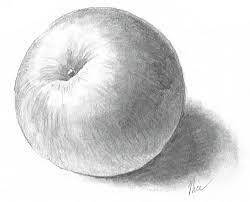 Drawing Basics How To See How To Draw With Claudia Nice Simple Shapes Draw An Apple Video Download Artists Network Drawing an apple with colored pencils time lapse. drawing basics how to see how to draw with claudia nice simple shapes draw an apple video download