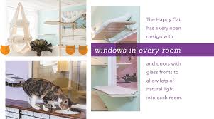 The Happy Cat Hotel Pet Boarding And Daycare Magazine