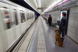 El gerente del metro de quito, rodrigo torres, señala que todo lo. Metro De Quito Que Noticias