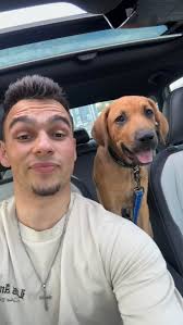 Working from home with pets