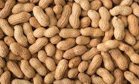 Growing Peanuts Is Actually Really Easy - How To Plant Peanuts In Containers