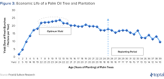 investors guide to palm oil toptal