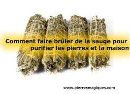 Comment Faire Bruler De La Sauge Pour Purifier Maison Et Pierres Pierresmagiques Com En 2020 Nettoyage Energetique Sauge Purifier