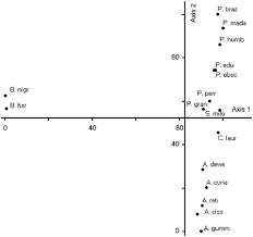 Image result for Paropsia brazzeana