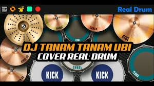 We did not find results for: Download Download Lagu Tanam Tanam Ubi Upin Dan Ipin Mp3 Mp4 3gp Flv Download Lagu Mp3 Gratis