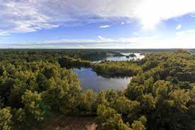 Seacoast and flat coastal plains run along the north sea. Major Geographical Areas In Belgium Belgium Be