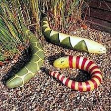 Plus your entire music library on all your devices. 13 Snake Gourds Ideas Gourds Snake Gourds Crafts