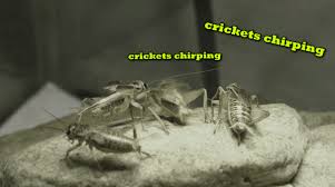Subreddit Fallout High Quality Gif Find On Gifer