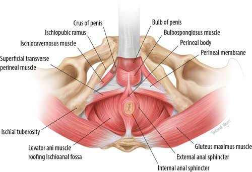 natural ways to improve erectile strength