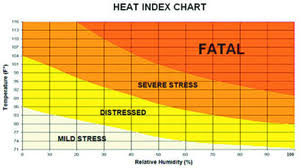 Heat Index Ebook