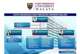 File Ummc Organisation Chart Jpg Wikimedia Commons