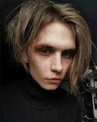Top 41 Punk Hairstyles For Men 2019 Choicest Collection Mens Hairstyles Punk Hair Mens Blonde Hair