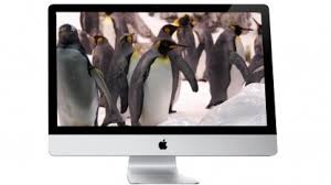 Get the latest news on apple from itv news team. Itv Steve Jobs Wollte Apple Fernseher Entwickeln Golem De