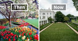 How to make a rose garden at home. People Are Ridiculing Melania Trump S White House Rose Garden Renovation With Savage Tweets Bored Panda