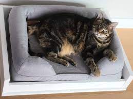 Ganz bequem für die katze von welt das katzensofa (auch für kleine hunde geeignet), das es in vielen ausführungen, farben und materialien gibt. Maya Katzensofa Gestell Small Mit Memory Foam Katzenbett Grau Maya Katzensofa