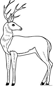 Search through 623,989 free printable colorings at getcolorings. 3w1osvb8lx9rxm