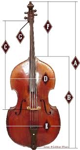 Sizes Double Bass Sizing Faq Faq Courtesy Of