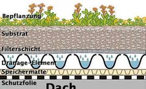 Dachbegrunung Anlage Pflege Und Kosten Dachbegrunung Flachdach Begrunung Dach
