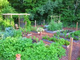 Raised beds (or planter boxes) are all the rage right now in gardening, and it's easy to see why. Creating A Raised Bed Garden Kevin Lee Jacobs