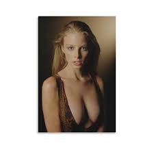 Amazon.com: Póster de la actriz Rachel Nichols Sexy Star 09 Wall Art Póster  impreso en lienzo para el hogar, baño, dormitorio, oficina, sala de estar,  póster de lienzo sin marco, estilo sin