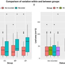 Image result for Elatostema paivaeanum