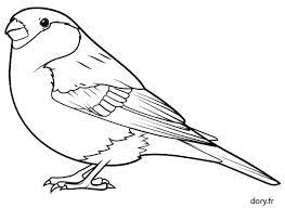 Coloriage Un Bouvreuil Dory Fr Coloriages Oiseau Coloriage Oiseaux A Colorier Coloriage