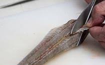 Kurek czerwony (chelidonichthys lucerna) to gatunek ryby morskiej z rodziny kurkowatych. Czerwony Kurek W Aromatycznym Sosie Pomidorowym