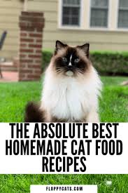Below you will find 10 recipes. 3 Diy Homemade Cat Food Recipes That Are Healthy Too Floppycats