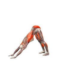 Browser Not Supported Exercices De Yoga Yoga Pour Le Matin Yoga Pour Maigrir