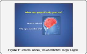 Pin On Journal Of Anesthesia Intensive Care Medicine