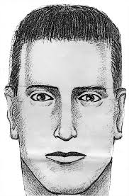 SUPLEMENTO DE CAPTURAS